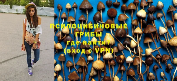 круглые Алзамай