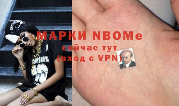 мет Алексин