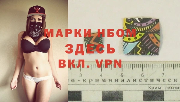 мет Алексин